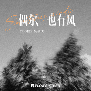 小布小布我要看空姐A片
